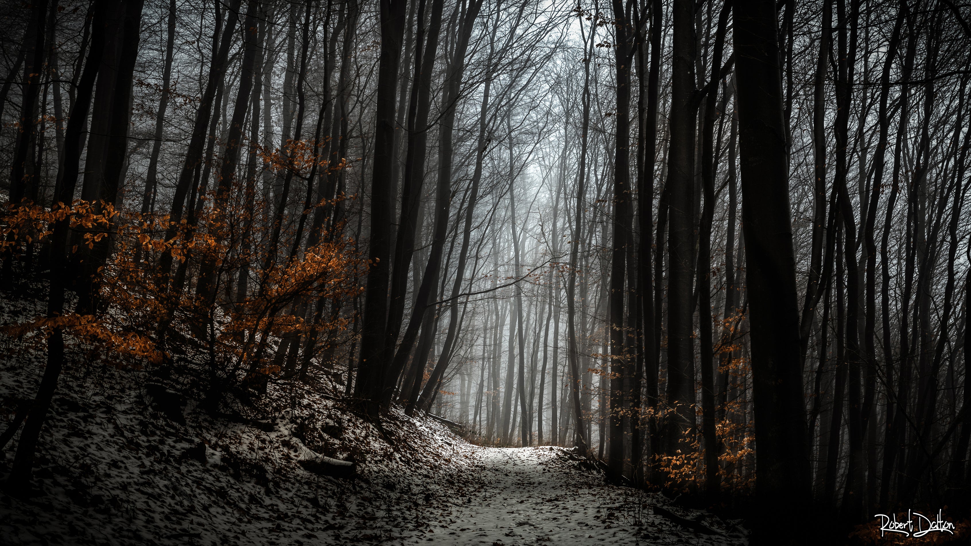 "Winter" auf strukturiertem Hahnemühle Fine Art-Papier (Nur als Print / Druck)