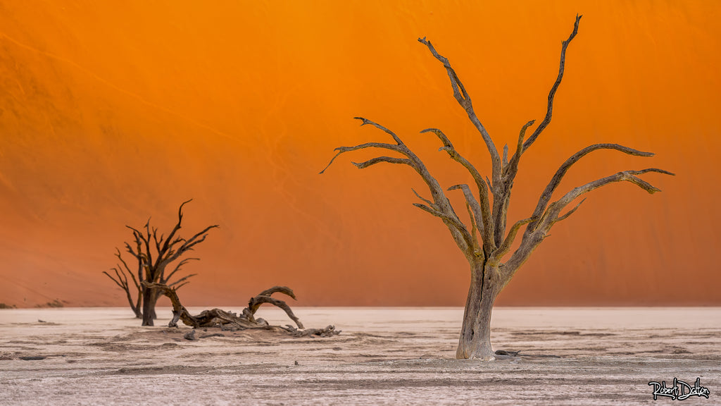 "Deadvlei" auf strukturiertem Hahnemühle Fine Art-Papier (Nur als Print / Druck)