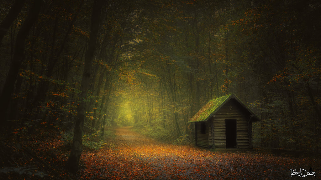 "Das Wäldchen" auf strukturiertem Hahnemühle Fine Art-Papier (Nur als Print / Druck)