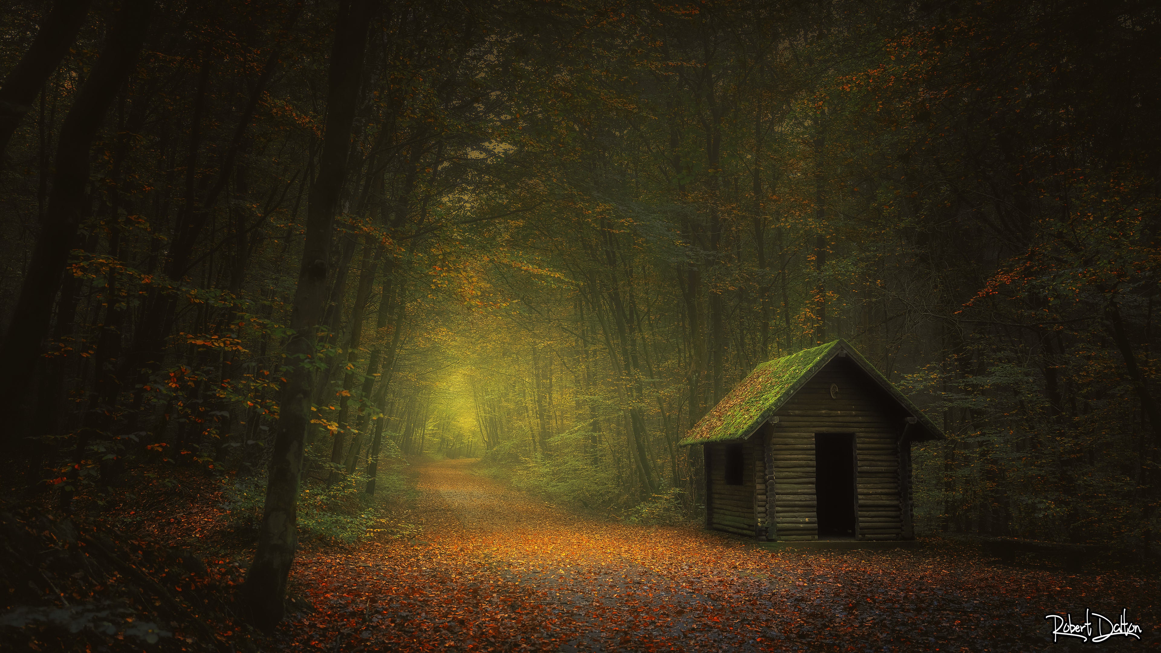 "Das Wäldchen" auf strukturiertem Hahnemühle Fine Art-Papier (Nur als Print / Druck)